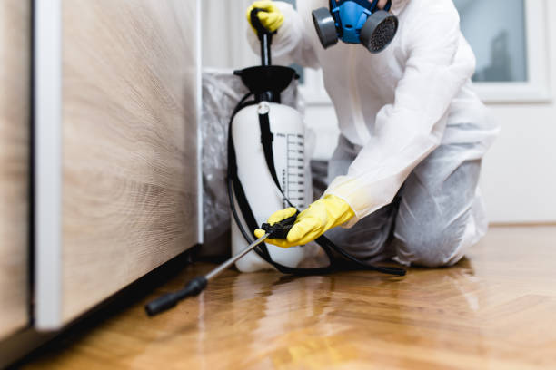 Best Pest Prevention Services  in Edgewood, MD