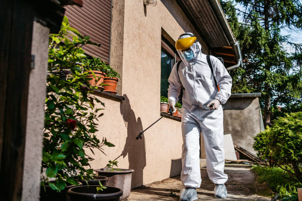 Best Mosquito Control Services  in Edgewood, MD