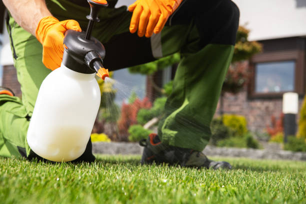 Best Mosquito Control Services  in Edgewood, MD