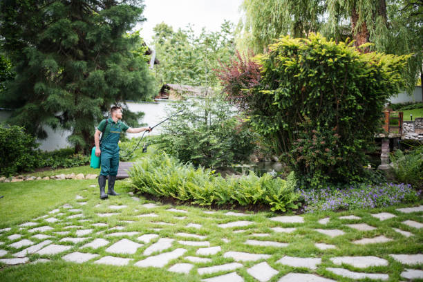 Best Pest Inspection Near Me  in Edgewood, MD
