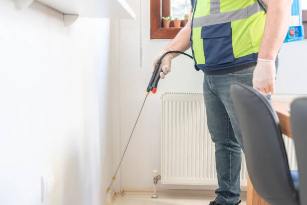 Best Ant Control Services  in Edgewood, MD