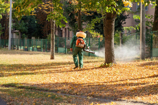 Best Best Pest Control Companies  in Edgewood, MD