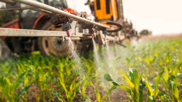 Best Pest Control Treatment  in Edgewood, MD