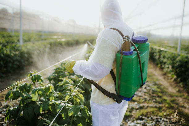 Best Cockroach Control Services  in Edgewood, MD